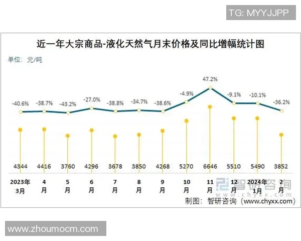 数据分析：液化天然气运输速度的全面评估与趋势研究