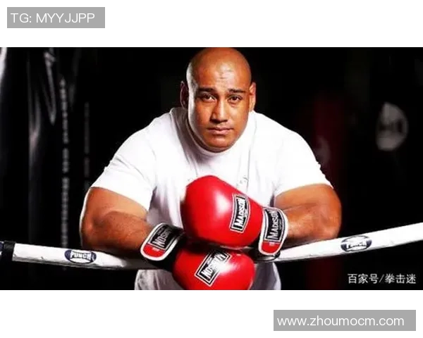 小克里琴科与利派的巅峰对决谁将成为拳坛新王者 小克里琴科与利派的巅峰对决谁将成为拳坛新王者