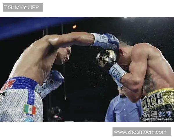 萨利多与马丁内兹激战在即谁将成为拳坛新王者 萨利多与马丁内兹激战在即谁将成为拳坛新王者