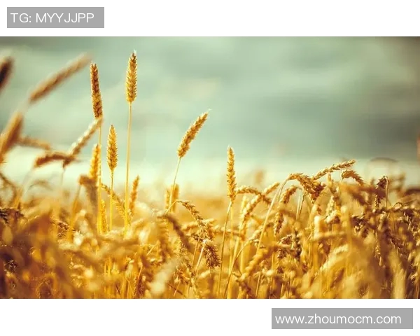 萨林杰的文学世界与心灵探索：从麦田里的守望者看青年迷茫与成长