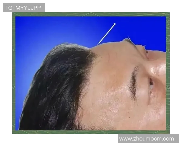 陈军独家分享网球心得与技巧助你提升球技的全面指南 陈军独家分享网球心得与技巧助你提升球技的全面指南