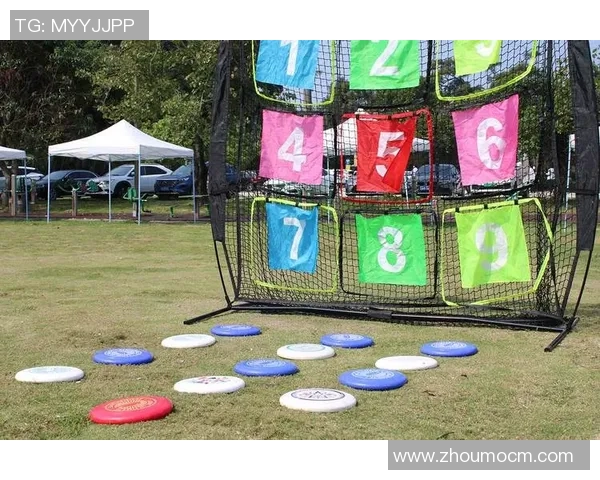 飞盘运动的魅力与团队精神西安飞盘队的成长与意识探索